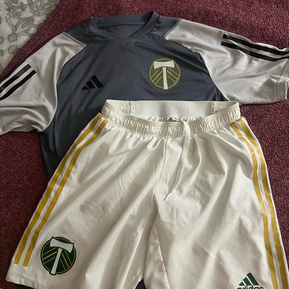 Adidas Timber Gray and White Team Sports Set